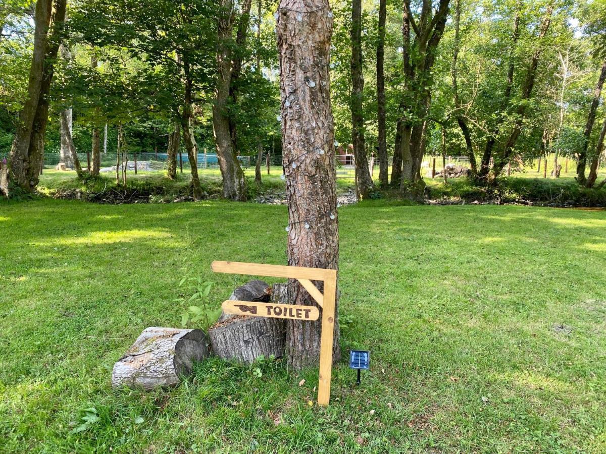 Hotel River View Glamping Llandovery Zewnętrze zdjęcie