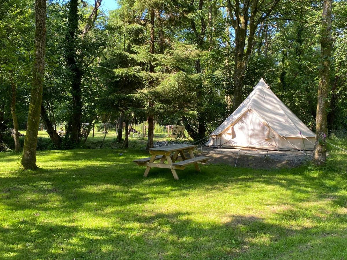 Hotel River View Glamping Llandovery Zewnętrze zdjęcie