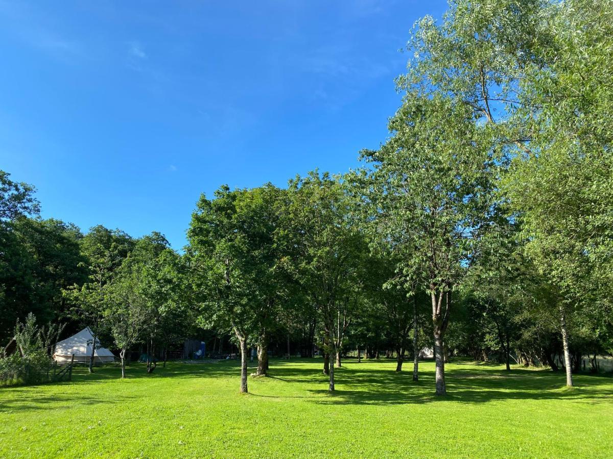 Hotel River View Glamping Llandovery Zewnętrze zdjęcie