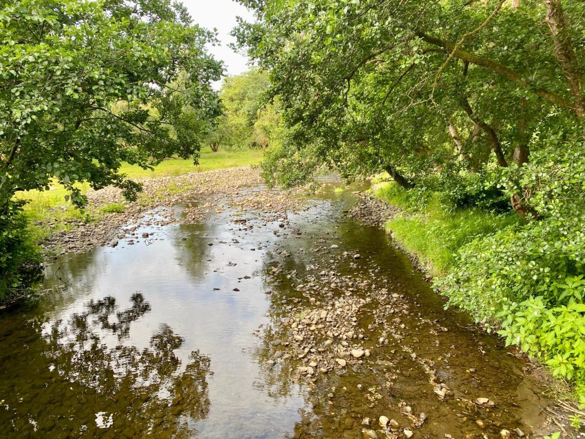 Hotel River View Glamping Llandovery Zewnętrze zdjęcie