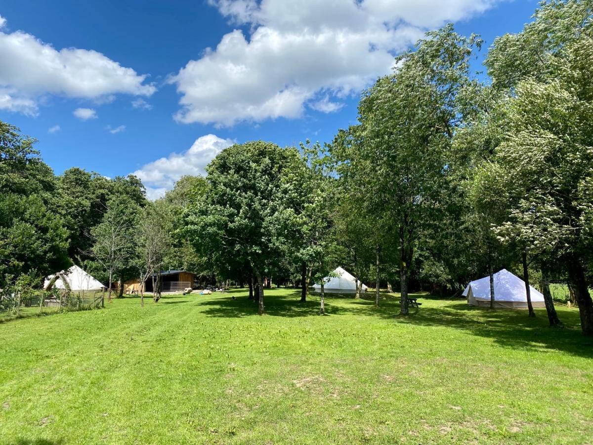 Hotel River View Glamping Llandovery Zewnętrze zdjęcie